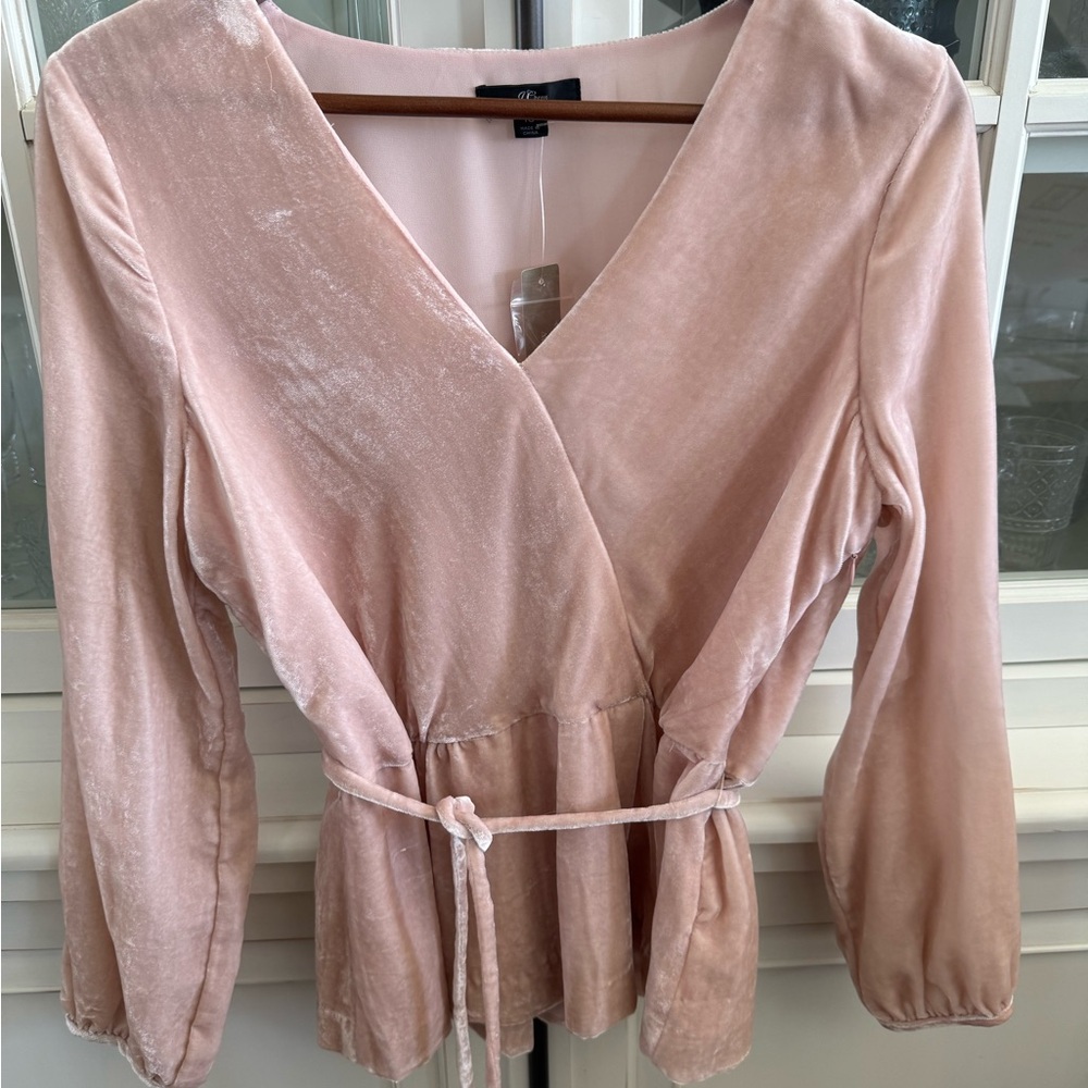 J Crew NWT Elegant Velvet Top in Blush